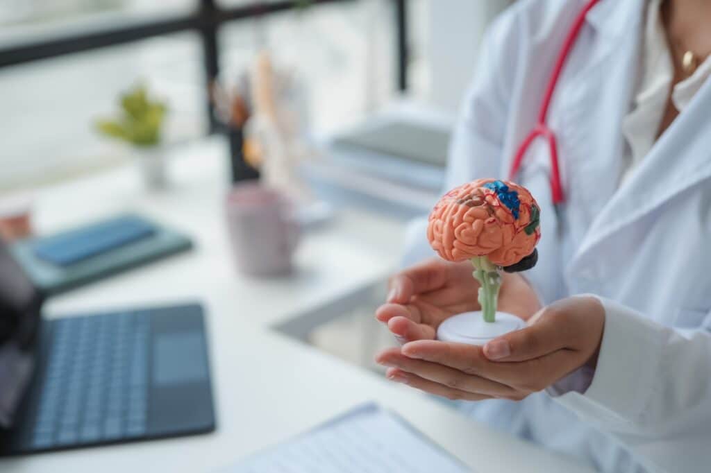 Doctor holding anatomical model of human brain for neurological exam