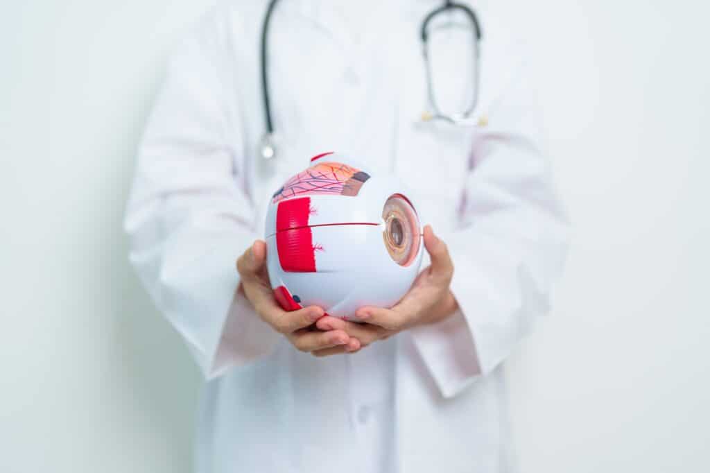 Doctor with human Eye anatomy model with magnifying glass.